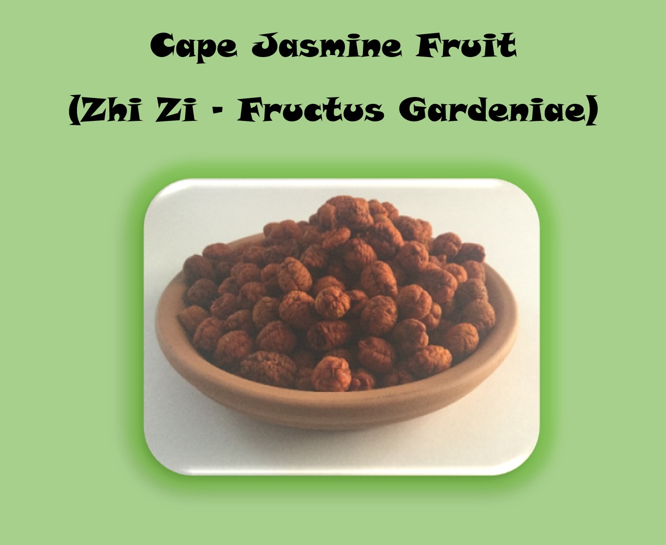 Cape Jasmine Fruit  (Zhi Zi - Fructus Gardeniae)