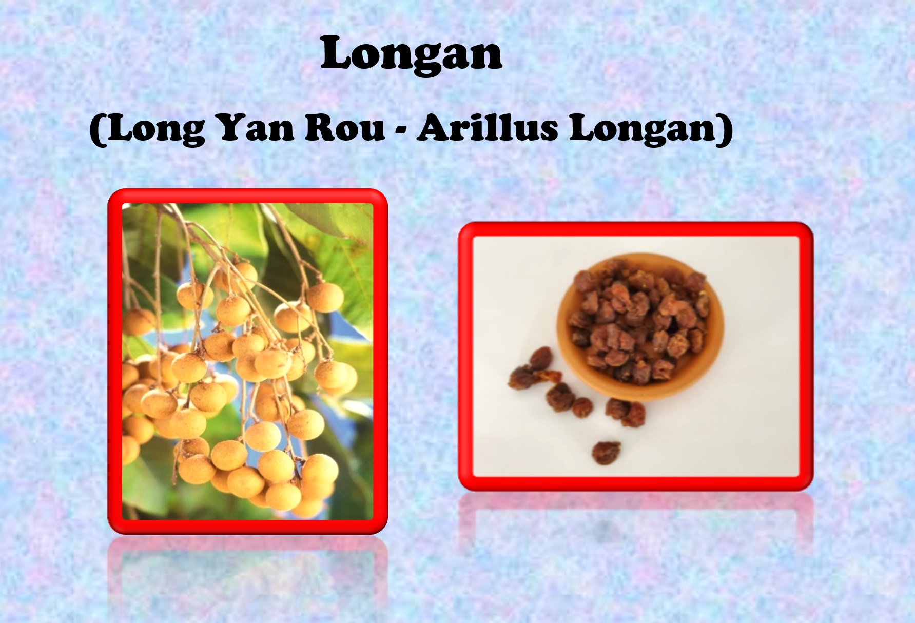 Longan (Long Yan Rou - Arillus Longan)
