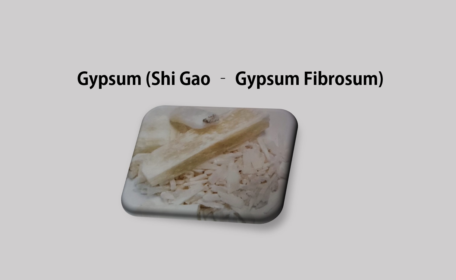 Gypsum (Shi Gao – Gypsum Fibrosum)