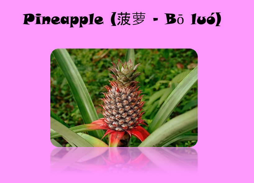 Pineapple (菠萝 – Bō luó)